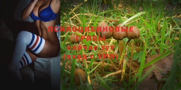 твердый Алексеевка