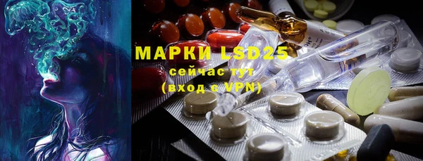 спиды Аркадак